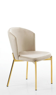 Silla de comedor silla de salón sillón beige madera acero inoxidable