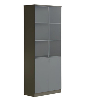 Moderno armario de oficina gris oscuro con puertas de vidrio