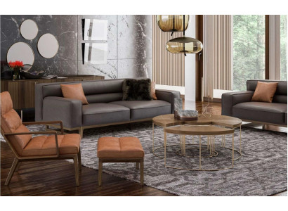 Conjunto de sala de estar marrón Lujoso sofá de 3 plazas Sillón Stivloller Reposapiés tapizado