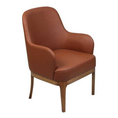 Silla de salón marrón de diseñador, individual de lujo, butaca.