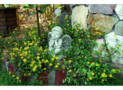 Decoración de tumba, piedra de tumba, decoración, decoración, figura de ángel, escultura, dios, sagrado.