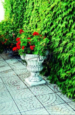 Maceta de flores Decoración de macetas Figura de decoración Macetas de flores Jarrones Jardín Naturaleza