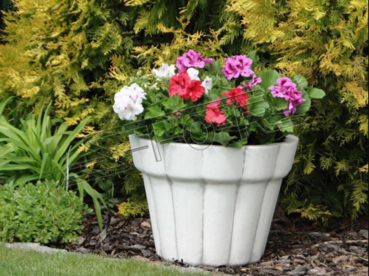 Maceta de flores Recipiente de plantación Decoración Jarrones Jardín Naturaleza Figura Macetas de flores