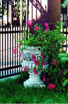 Maceta de flores, maceta de plantas, decoración natural, figura de jarrón, macetas de flores, jardín