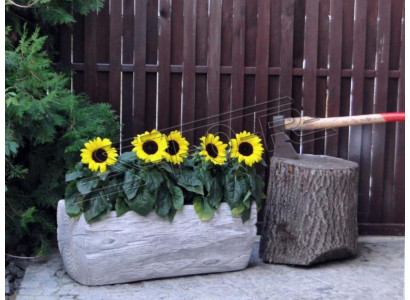 Macetas Caja Maceta Flores decorativas Macetas XXL Concreto Jardín Terraza