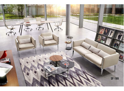 Mobiliario de oficina tapizado Sofá Conjunto de muebles 3+1+1 Grupo de asientos Mesa de centro