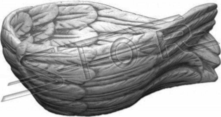 Decoración Recipientes Cuencos Tazón Alas de ángel Llave Bandeja