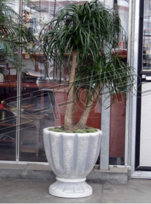 Diseño Maceta decorativa Maceta de planta superior Recipiente de cubo macetas Figura Cara