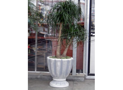 Diseño Maceta decorativa Maceta de planta superior Recipiente de cubo macetas Figura Cara