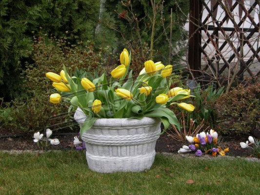 Diseño Maceta Top Decorativa Maceta de Plantas Cubeta Recipiente Macetas Figura Rostro