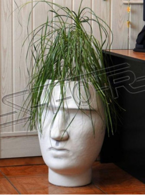 Diseño de maceta superior Planta Cubo de decoración Vaso Figura Potes Cara Escultura