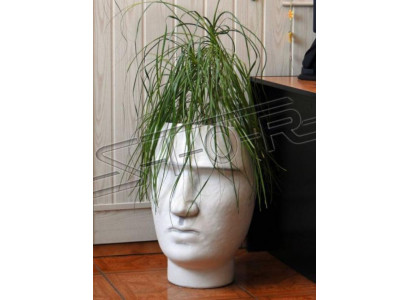 Diseño de maceta superior Planta Cubo de decoración Vaso Figura Potes Cara Escultura