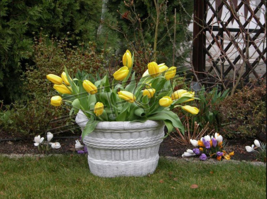 Diseño maceta para plantas macetero recipiente olla figura decorativa cara escultura
