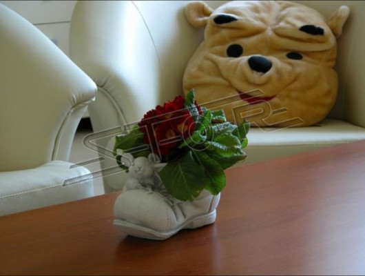 Diseño maceta florero cuenco recipiente macetas figura zapato escultura.