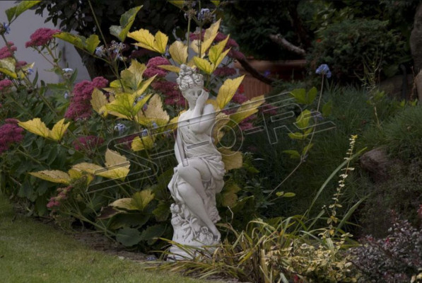 Eva Diseño de Escultura Figura Estatua Figuras Estatuas Esculturas de Jardín