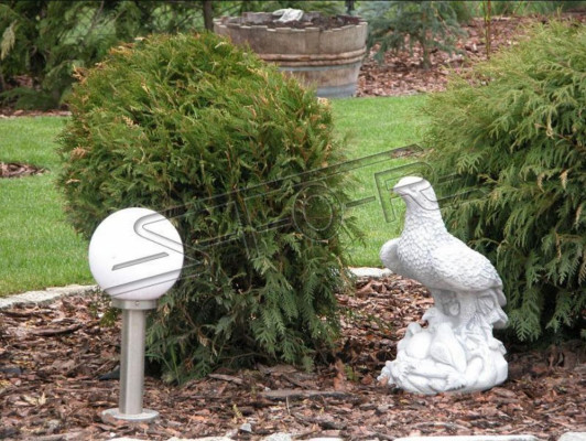 Figura Águila Jardín Estatua Escultura Esculturas Figuras Estatuas Decoración
