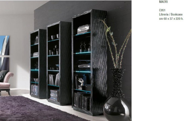 Sala de estar armarios estantes librería sistema de armarios diseño de muebles pared separadora estante