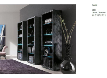 Sala de estar armarios estantes librería sistema de armarios diseño de muebles pared separadora estante