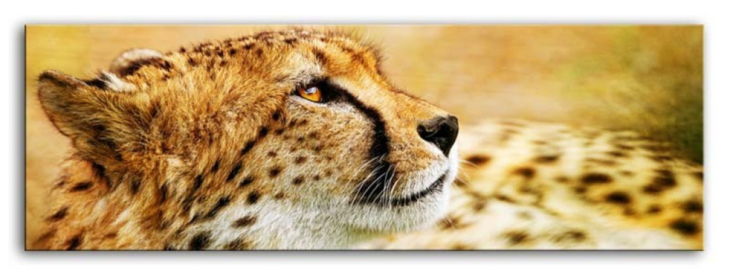 Imagen Imágenes Pintura Impresión Impresión artística Almohada Cultura "Abstracto" Leopardo G92846