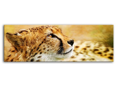 Imagen Imágenes Pintura Impresión Impresión artística Almohada Cultura "Abstracto" Leopardo G92846