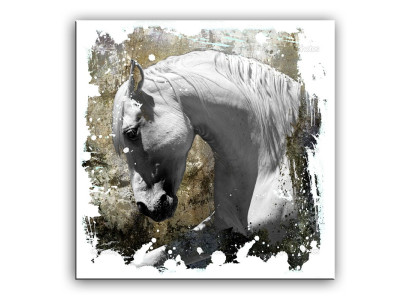 Imagen Imágenes Pintura Impresión Grabado sobre tela Cultura "Abstracto" Caballo G93239
