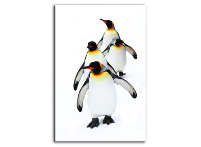 Imagen Imágenes Pintura Impresión Impresión artística Almohadón Cultura "Abstracto" Pingüino G92779