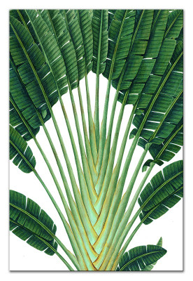 Imagen Imágenes Pintura Impresión Impresión artística Almohadilla Cultura "Abstracto" G17956