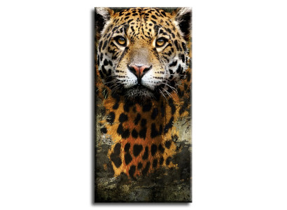 Imagen Imágenes Pintura Impresión Impresión artística Almohadón Cultura "Abstracto" Tigre G93243
