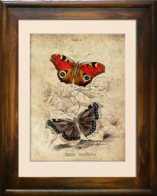 Imagen Imágenes Pintura Impresión Impresión artística Almohada Cultura "Abstracto" Nuevo G93303