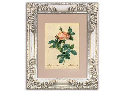 Imagen Imágenes con planta Marco real en estilo barroco Pintura noble G95096