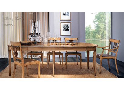 Muebles de comedor Silla de madera Sillas Sillón Muebles Sillón de madera Tapizado Clásico