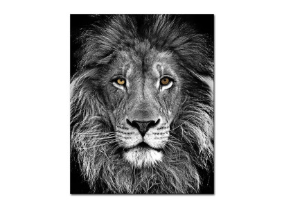 Imagen Imágenes Pintura Impresión Impresión artística Acolchado Cultura "Leones" Nuevo G97212