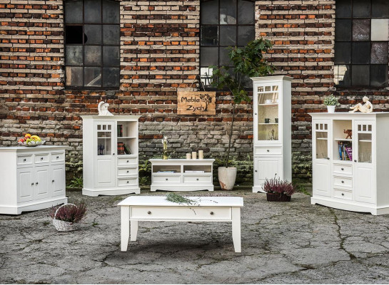 Vitrina Cómoda Vitrina Cómodas Gabinete de vidrio Diseñador Armario NUEVO