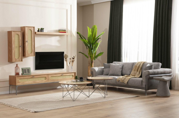 Armario de TV / Mueble bajo para TV, Sofá de 3 plazas, 2 mesas de centro, mueble de TV.