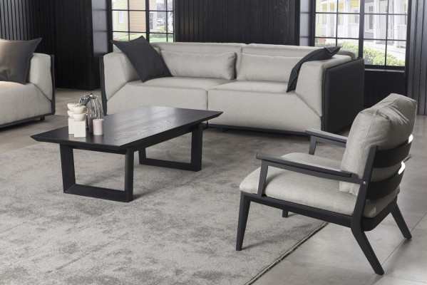 Sillón de lujo, sofá de una plaza, silla de relajación con marco negro y cojín.