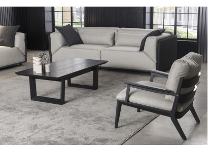 Sillón de lujo, sofá de una plaza, silla de relajación con marco negro y cojín.