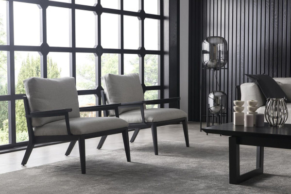 Sillón de lujo, sofá de una plaza, silla de relajación con marco negro y cojín.