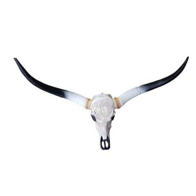 Cráneo de toro decorativo no real 100 cm diseño de pared cráneo de búfalo de agua