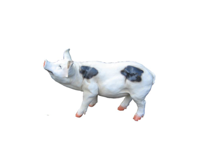 Decoración Jardín Figura Estatua Figuras Estatuas Decoración Nueva Esculturas Cerdo 40cm