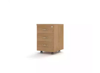 Muebles de oficina, cómoda de madera, muebles de oficina modernos, muebles de diseñador para la sala de trabajo.