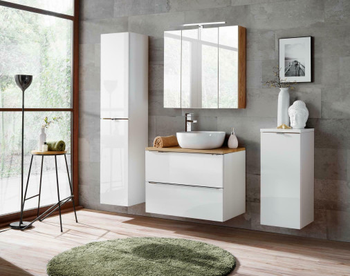 Diseño de muebles de baño, baño 4 piezas. Conjunto de muebles y decorativos. Armario y lavabo.