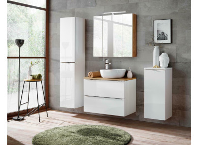 Diseño de muebles de baño, baño 4 piezas. Conjunto de muebles y decorativos. Armario y lavabo.
