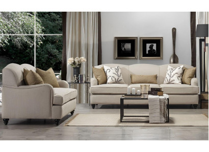 Conjunto de sofás de sala: sofá de dos plazas con sofá de tres plazas diseño de lujo decoración.