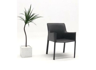 Diseño de sillas de respaldo acolchado para comedor, club, cocina, salón y sala de estar.