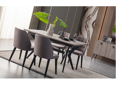 Zona de comedor Conjunto de comedor Grupo de comedor Mesa de comedor Sillas Madera Gris 7 piezas