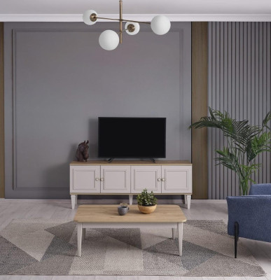 Conjunto de sala de estar TV Soporte Mesa de centro de madera Gris RTV Mueble bajo Juego
