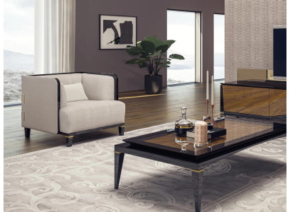 Moderno sillón de salón de muebles nuevos, diseño de interior, cojín blanco.