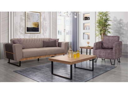 Elegante conjunto de sofás para la sala de estar de 3 plazas, juego de sofás tapizados de 2 piezas.