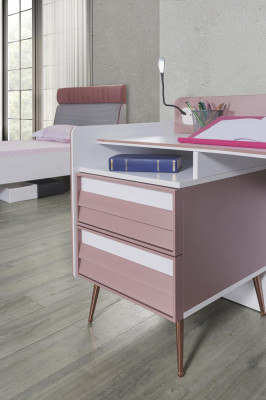 Escritorio de madera rosa, mesa, escritorio, estante, muebles, diseño de sala juvenil.