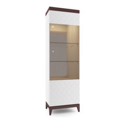 Moderno armario de cristal para vitrinas de diseño.
